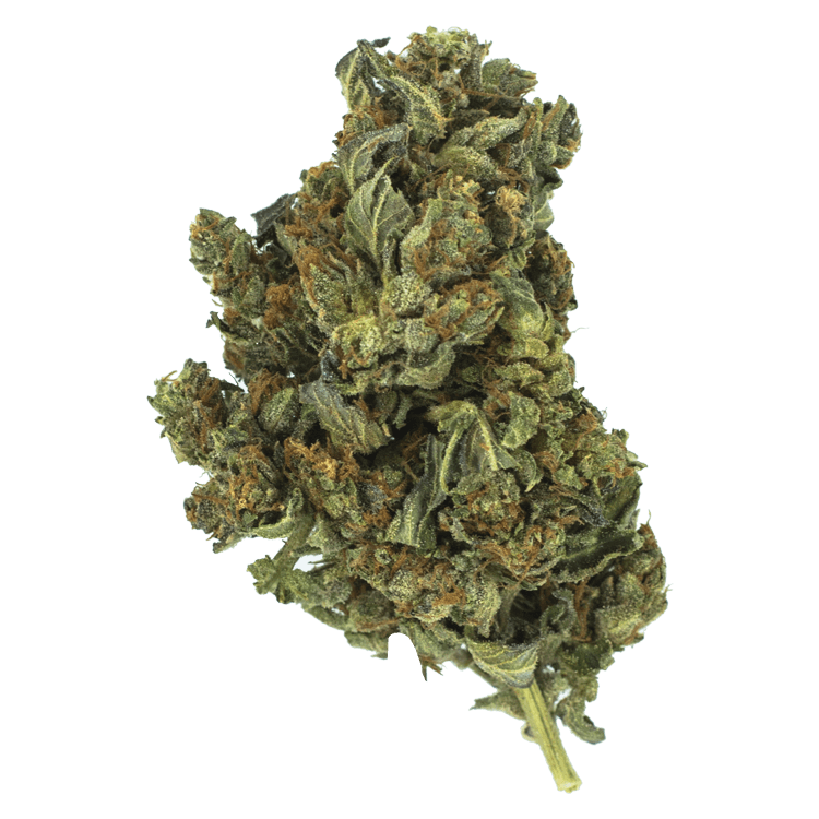 Death Star OG | OG Extracts Canada Death Star OG | OG Extracts Canada