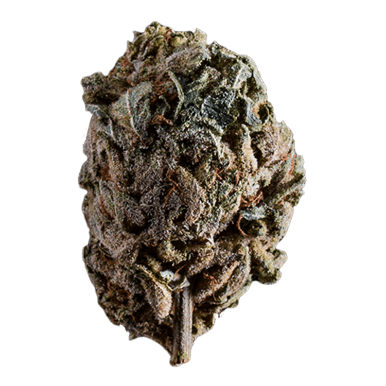 Purple Candy | OG Extracts Canada Purple Candy | OG Extracts Canada