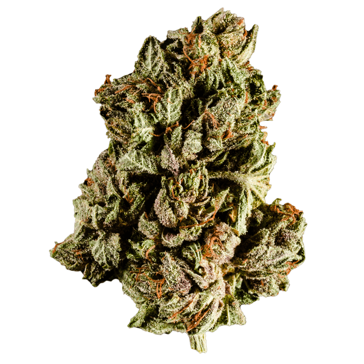 Purple Frost | OG Extracts Canada Purple Frost | OG Extracts Canada