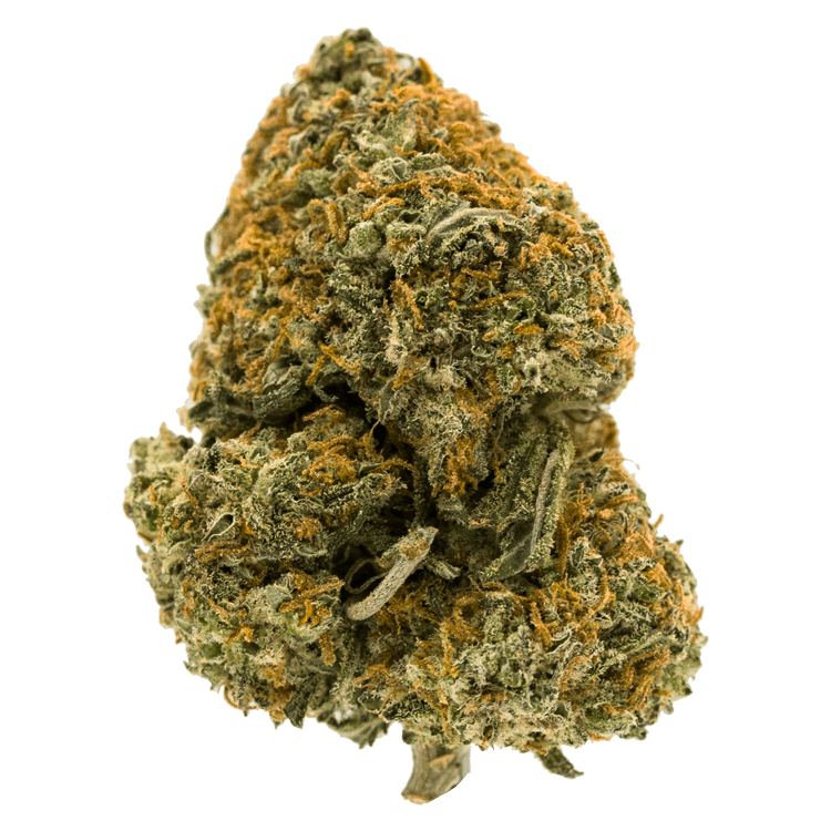 Blackberry Kush – (Popcorn) | OG Extracts Canada Blackberry Kush – (Popcorn) | OG Extracts Canada