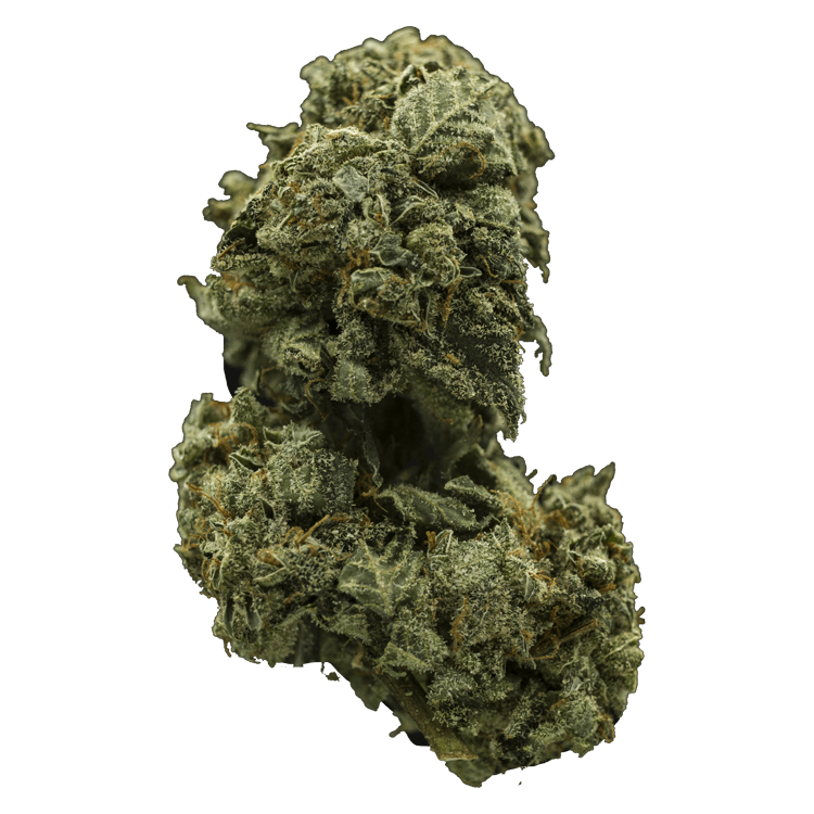 Church OG | OG Extracts Canada Church OG | OG Extracts Canada