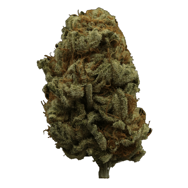 Hempstar | OG Extracts Canada Hempstar | OG Extracts Canada