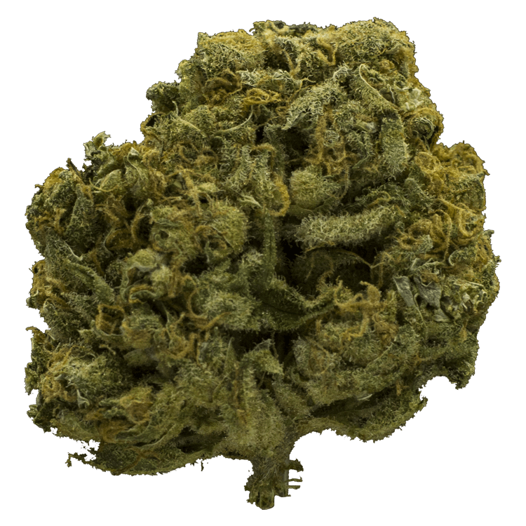 Charlotte’s Web – High CBD | OG Extracts Canada Charlotte’s Web – High CBD | OG Extracts Canada