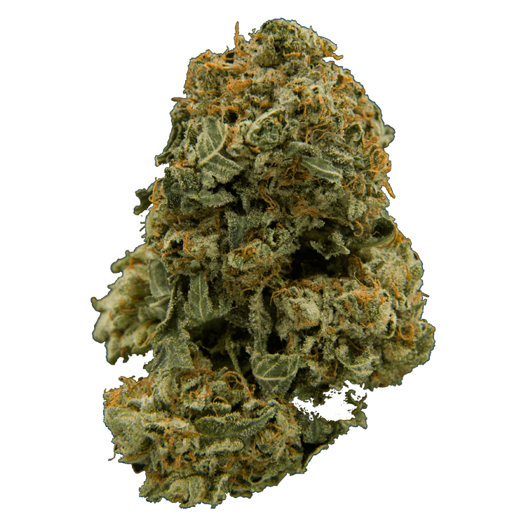 Blush | OG Extracts Canada Blush | OG Extracts Canada