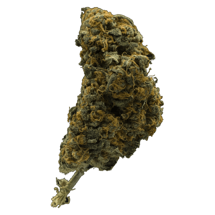 BC CBD | OG Extracts Canada BC CBD | OG Extracts Canada