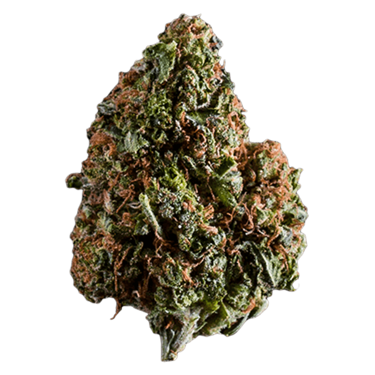 Lindsay OG – 1 ounce | OG Extracts Canada Lindsay OG – 1 ounce | OG Extracts Canada