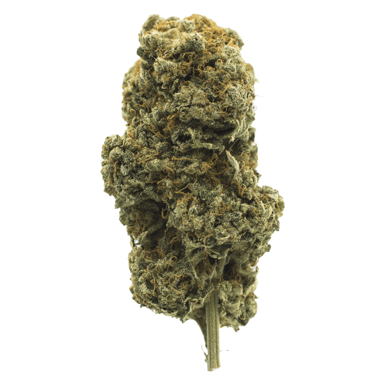 Orange Creamsicle | OG Extracts Canada Orange Creamsicle | OG Extracts Canada