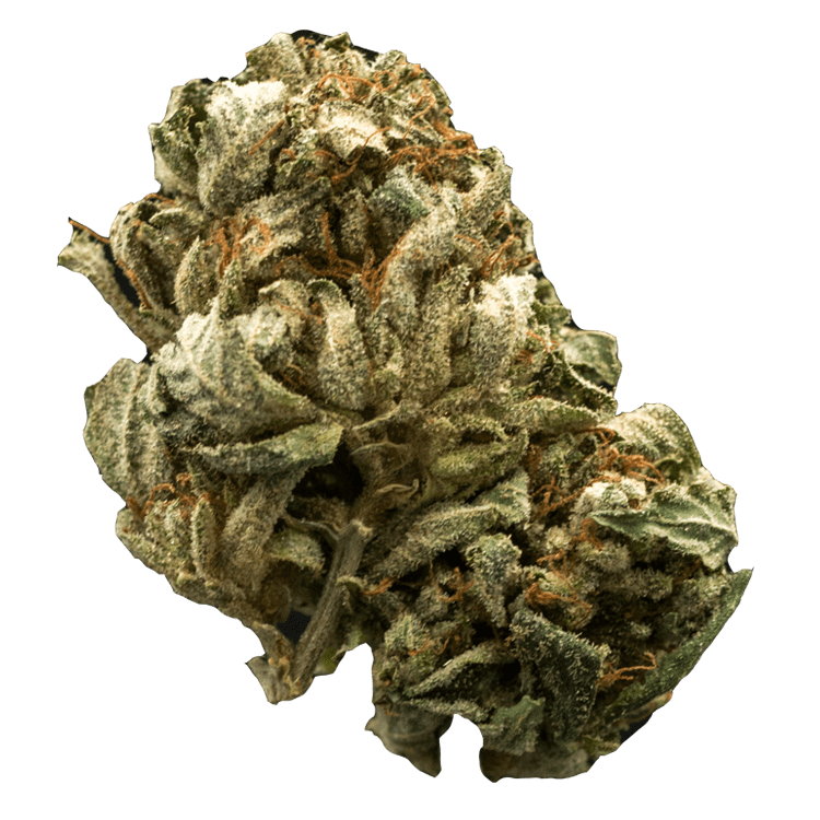 Chemdog | OG Extracts Canada Chemdog | OG Extracts Canada