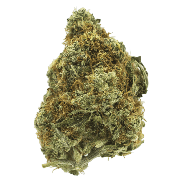 Cappuccino 420 | OG Extracts Canada Cappuccino 420 | OG Extracts Canada