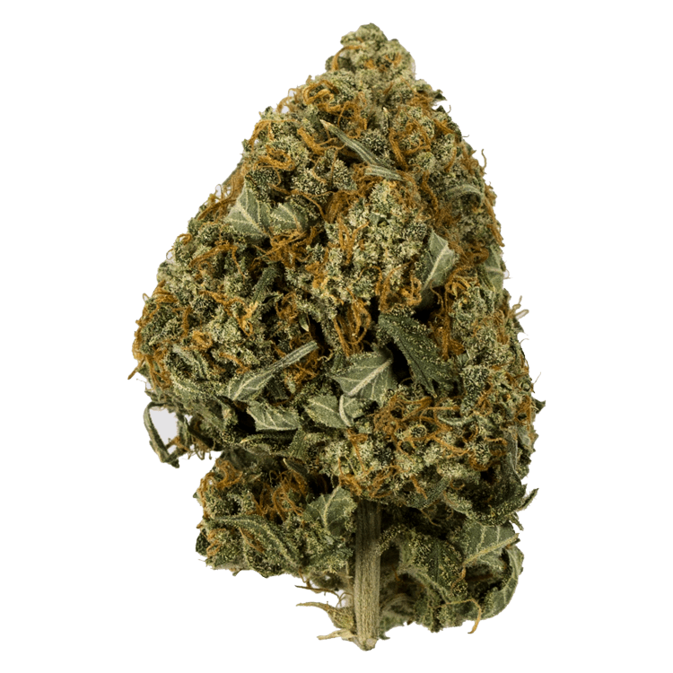 Snow White – 1 ounce | OG Extracts Canada Snow White – 1 ounce | OG Extracts Canada