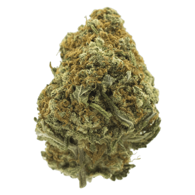 Cappuccino 420 | OG Extracts Canada Cappuccino 420 | OG Extracts Canada