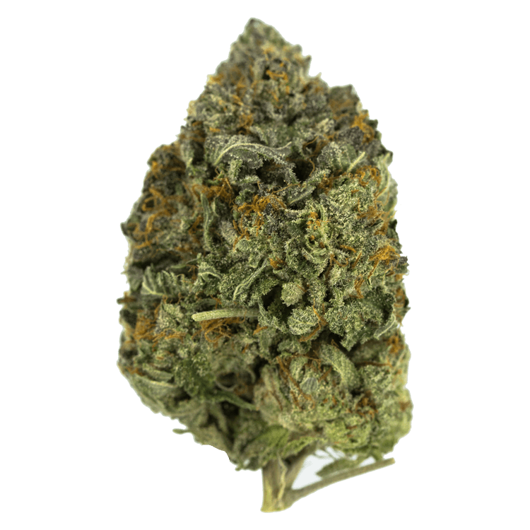 Dancehall | OG Extracts Canada Dancehall | OG Extracts Canada