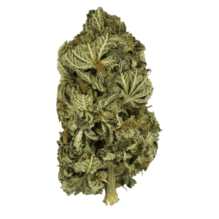 Black Gas – 1 ounce | OG Extracts Canada Black Gas – 1 ounce | OG Extracts Canada