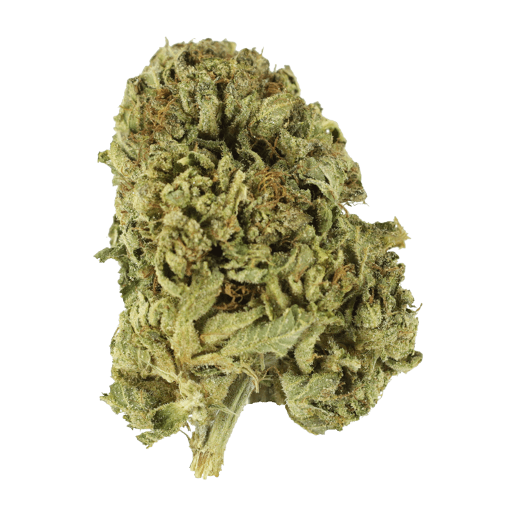 Sour Diesel | OG Extracts Canada Sour Diesel | OG Extracts Canada