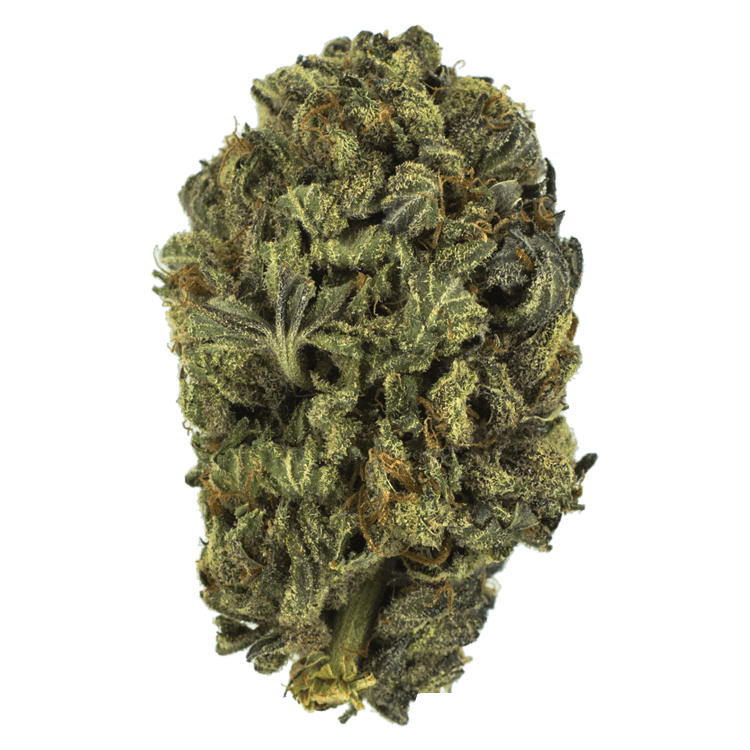 King Kush (Greenhouse) – 1 ounce | OG Extracts Canada King Kush (Greenhouse) – 1 ounce | OG Extracts Canada