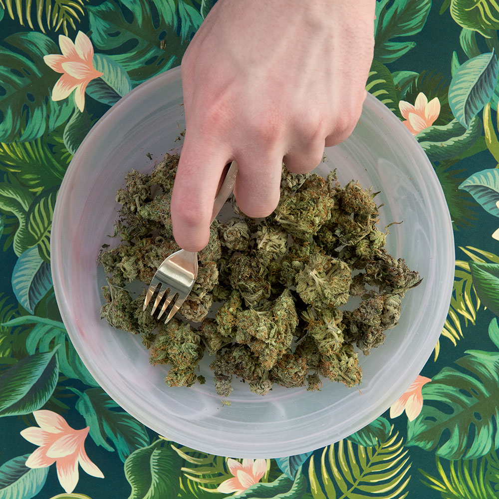 1OZ SAMPLE PACK – SAVE 10% | OG Extracts Canada 1OZ SAMPLE PACK – SAVE 10% | OG Extracts Canada