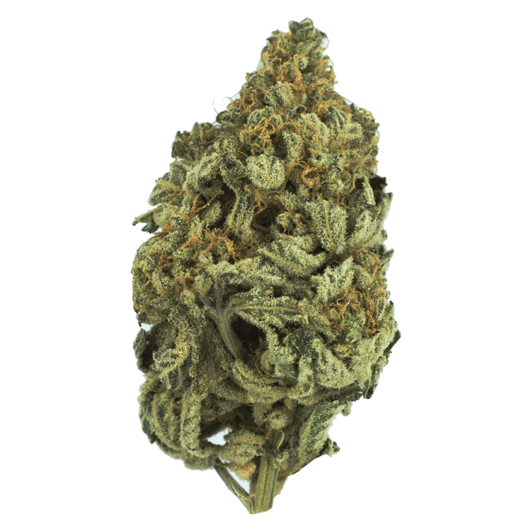 Bakerstreet | OG Extracts Canada Bakerstreet | OG Extracts Canada