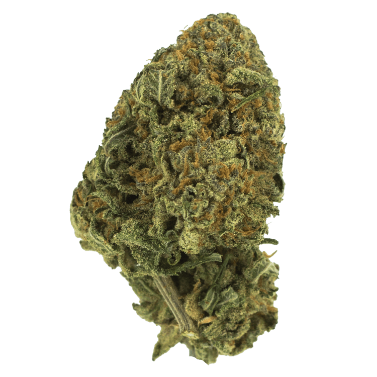 Black Nuken | OG Extracts Canada Black Nuken | OG Extracts Canada