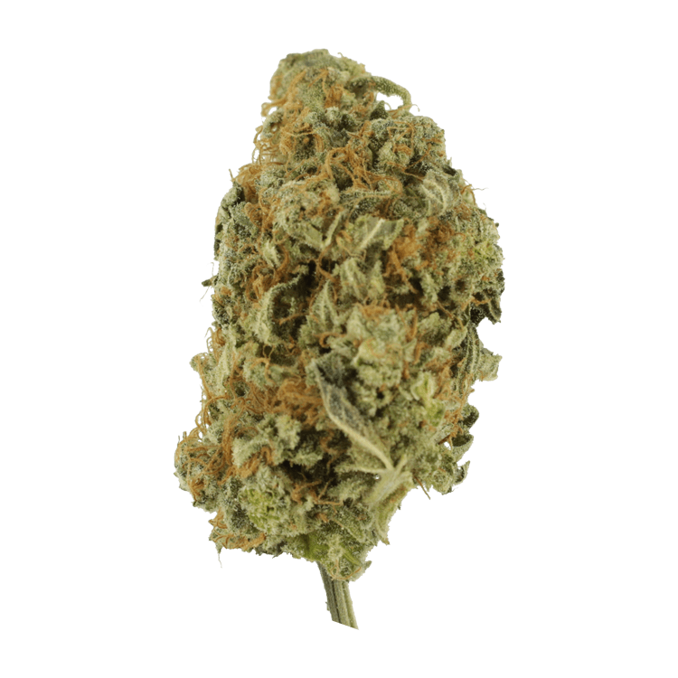 Lollypop – 1 ounce | OG Extracts Canada Lollypop – 1 ounce | OG Extracts Canada