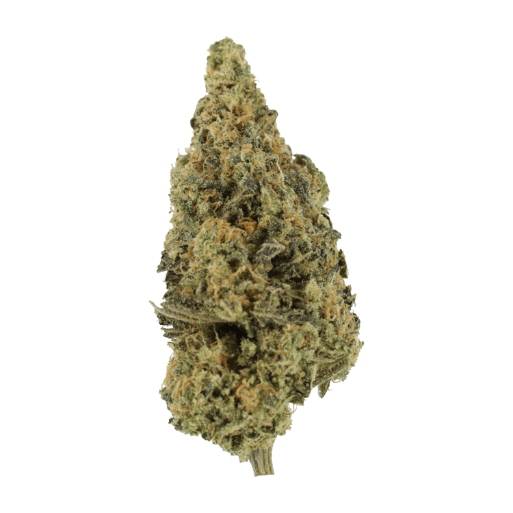 Lava Fuel | OG Extracts Canada Lava Fuel | OG Extracts Canada