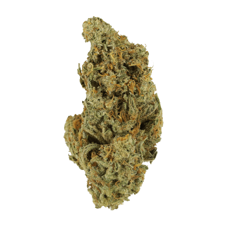 Mandarin Haze – 1 ounce | OG Extracts Canada Mandarin Haze – 1 ounce | OG Extracts Canada