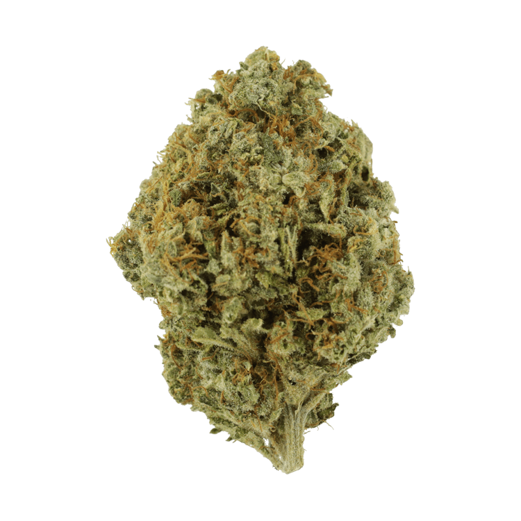 Orange Barb | OG Extracts Canada Orange Barb | OG Extracts Canada