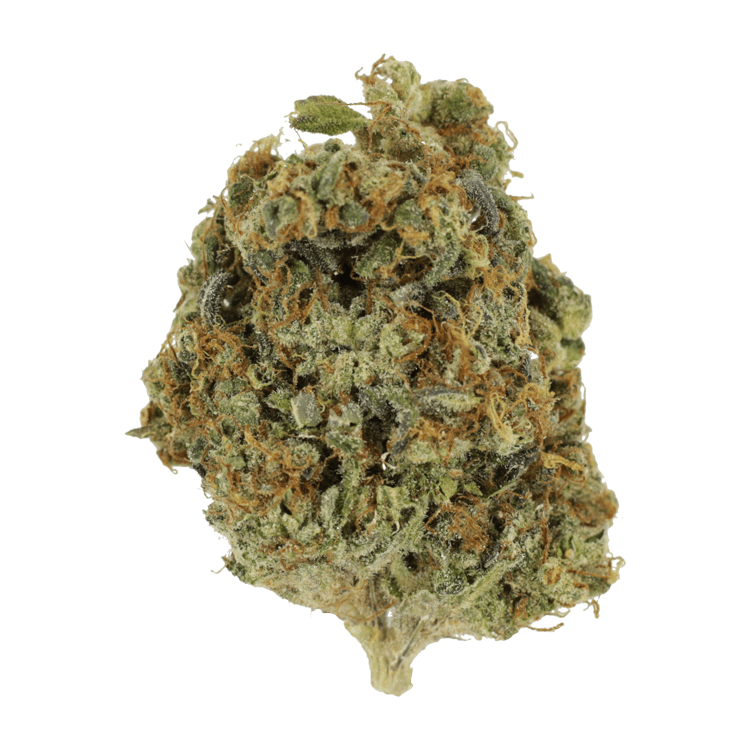 Sunset Sherbert | OG Extracts Canada Sunset Sherbert | OG Extracts Canada