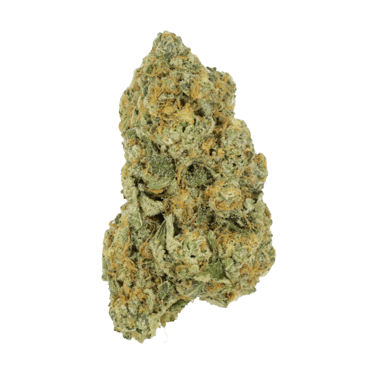 Black Cherry Punch | OG Extracts Canada Black Cherry Punch | OG Extracts Canada