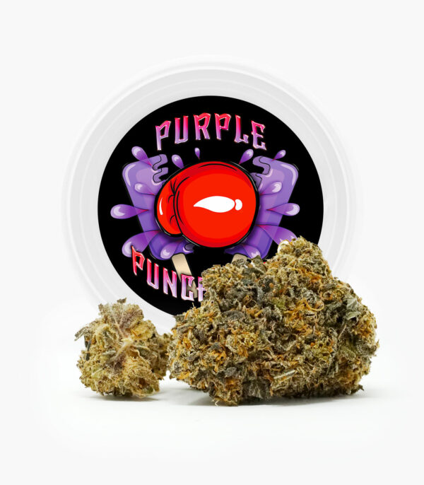 Westcoast Cali Tins – Premium Flower – Purple Punchsicle – 14g | OG Extracts Canada