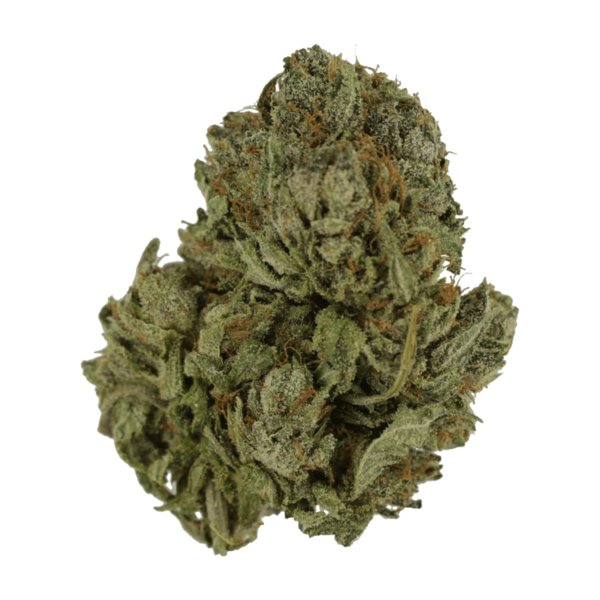 Salt Pot – Corn Nuts – 250mg THC | OG Extracts Canada Salt Pot – Corn Nuts – 250mg THC | OG Extracts Canada