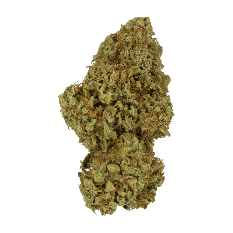 Sour Amnesia | OG Extracts Canada Sour Amnesia | OG Extracts Canada