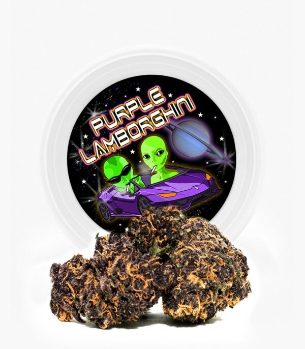 Westcoast Cali Tins – Premium Flower – Purple Lamborghini – 3.5g | OG Extracts Canada