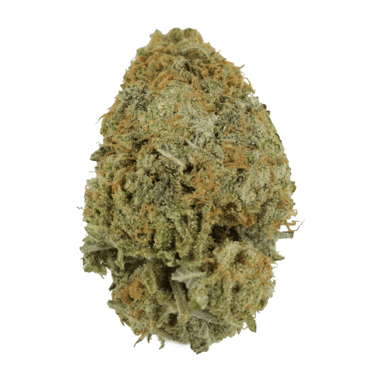 Pink Tuna (Popcorn) – $40/oz | OG Extracts Canada Pink Tuna (Popcorn) – $40/oz | OG Extracts Canada