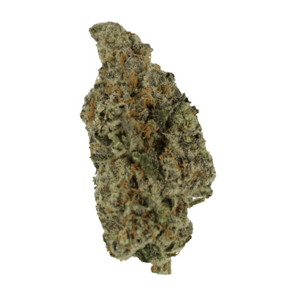 Biscotti Sundae | OG Extracts Canada