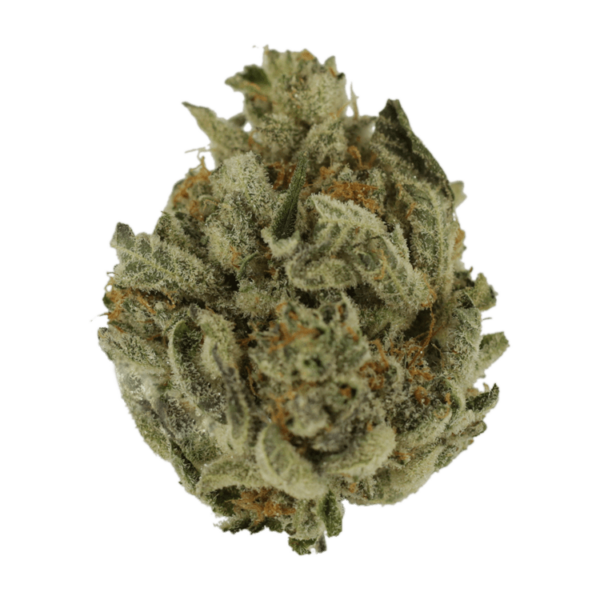 Biscotti Sundae | OG Extracts Canada Biscotti Sundae | OG Extracts Canada