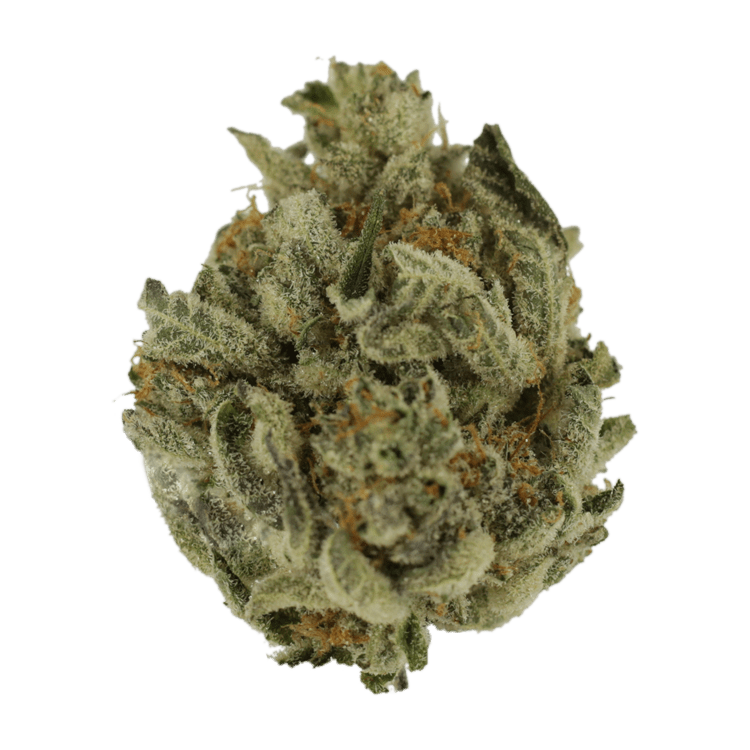 Biscotti Sundae | OG Extracts Canada Biscotti Sundae | OG Extracts Canada