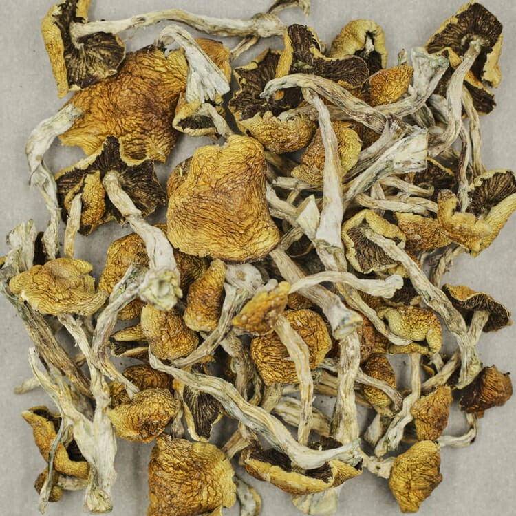 Wollygong | OG Extracts Canada Wollygong | OG Extracts Canada