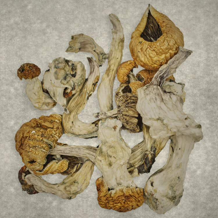 Z Farm | OG Extracts Canada Z Farm | OG Extracts Canada