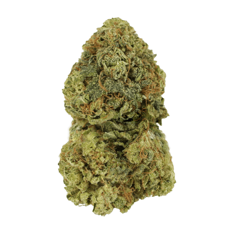 Critical Mass | OG Extracts Canada Critical Mass | OG Extracts Canada