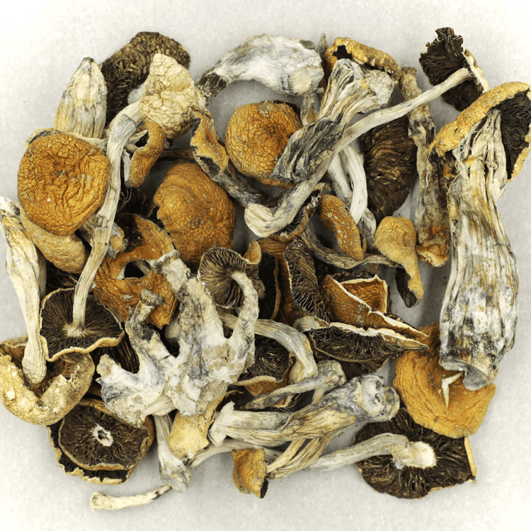 Puerto Rican | OG Extracts Canada Puerto Rican | OG Extracts Canada