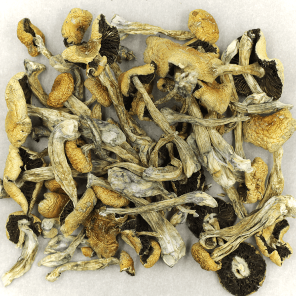 Puerto Rican | OG Extracts Canada