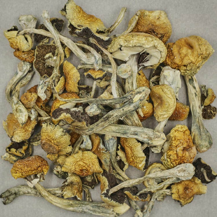 South American | OG Extracts Canada South American | OG Extracts Canada