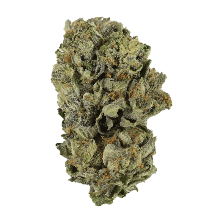 Cerebro Haze | OG Extracts Canada Cerebro Haze | OG Extracts Canada