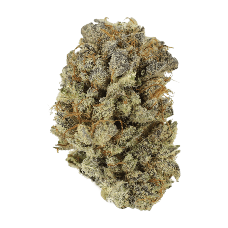 Mimosa Punch | OG Extracts Canada Mimosa Punch | OG Extracts Canada