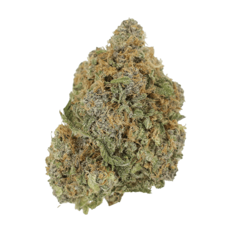 Jagermeister | OG Extracts Canada Jagermeister | OG Extracts Canada