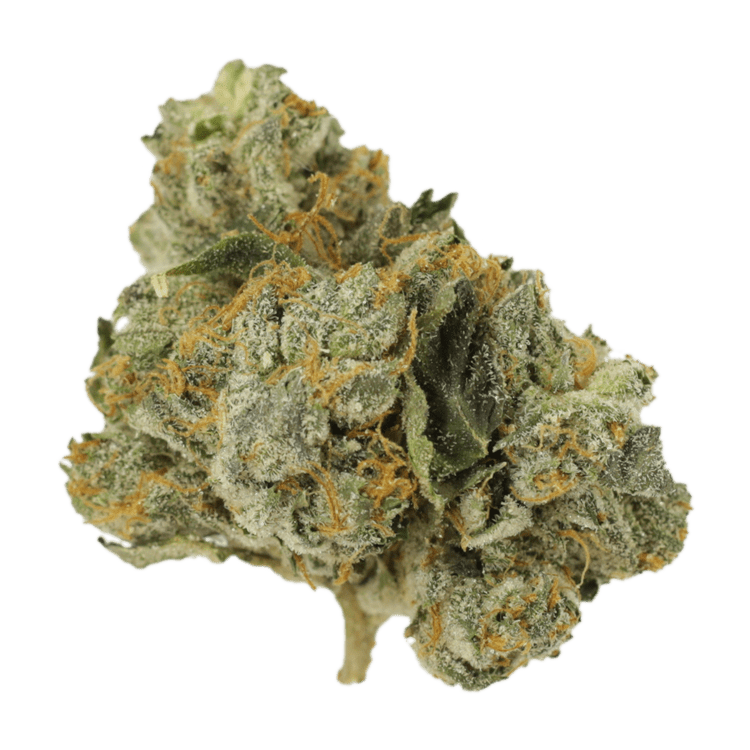 Mango Cream | OG Extracts Canada Mango Cream | OG Extracts Canada