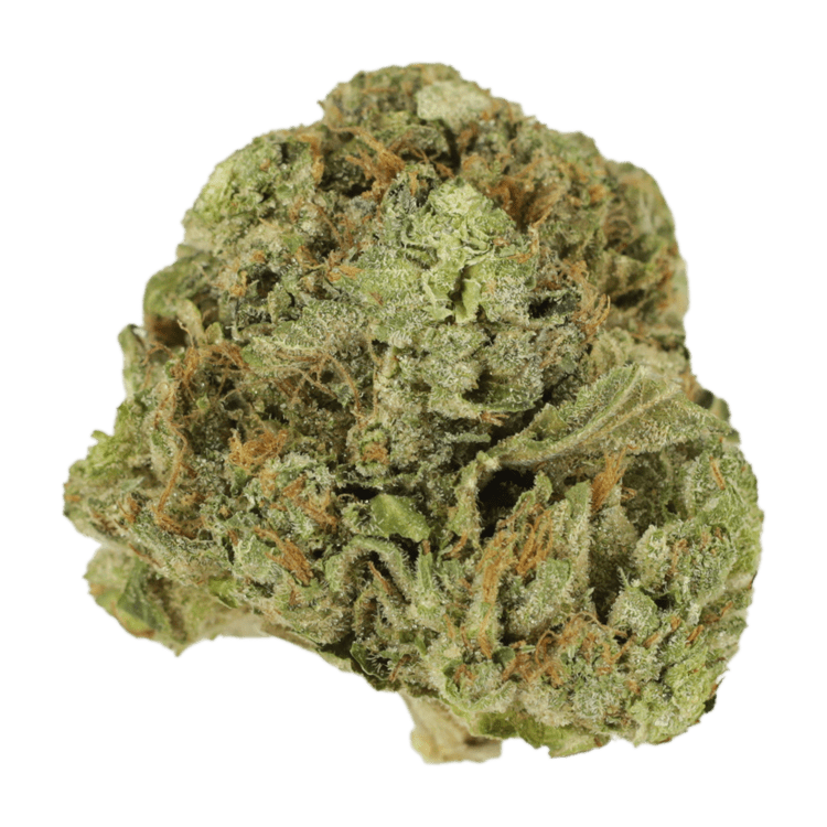 Mango Cream | OG Extracts Canada Mango Cream | OG Extracts Canada