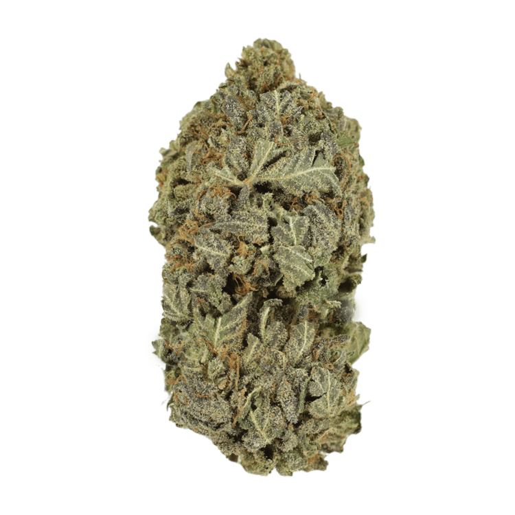 Purple Dream | OG Extracts Canada Purple Dream | OG Extracts Canada