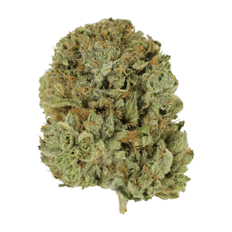 Pink Taco | OG Extracts Canada Pink Taco | OG Extracts Canada