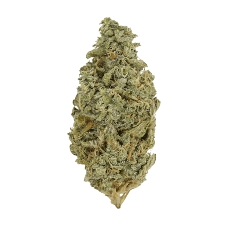 Orange Cookies | OG Extracts Canada Orange Cookies | OG Extracts Canada